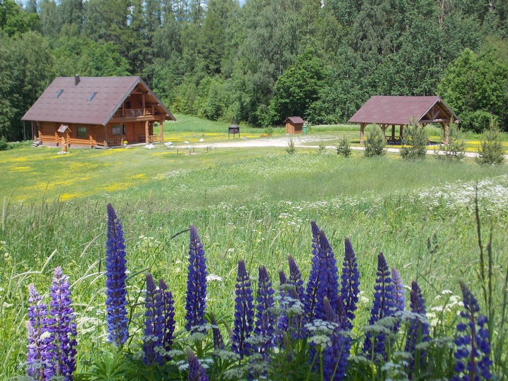 Guest House Kalnini Kārļi Exteriér fotografie