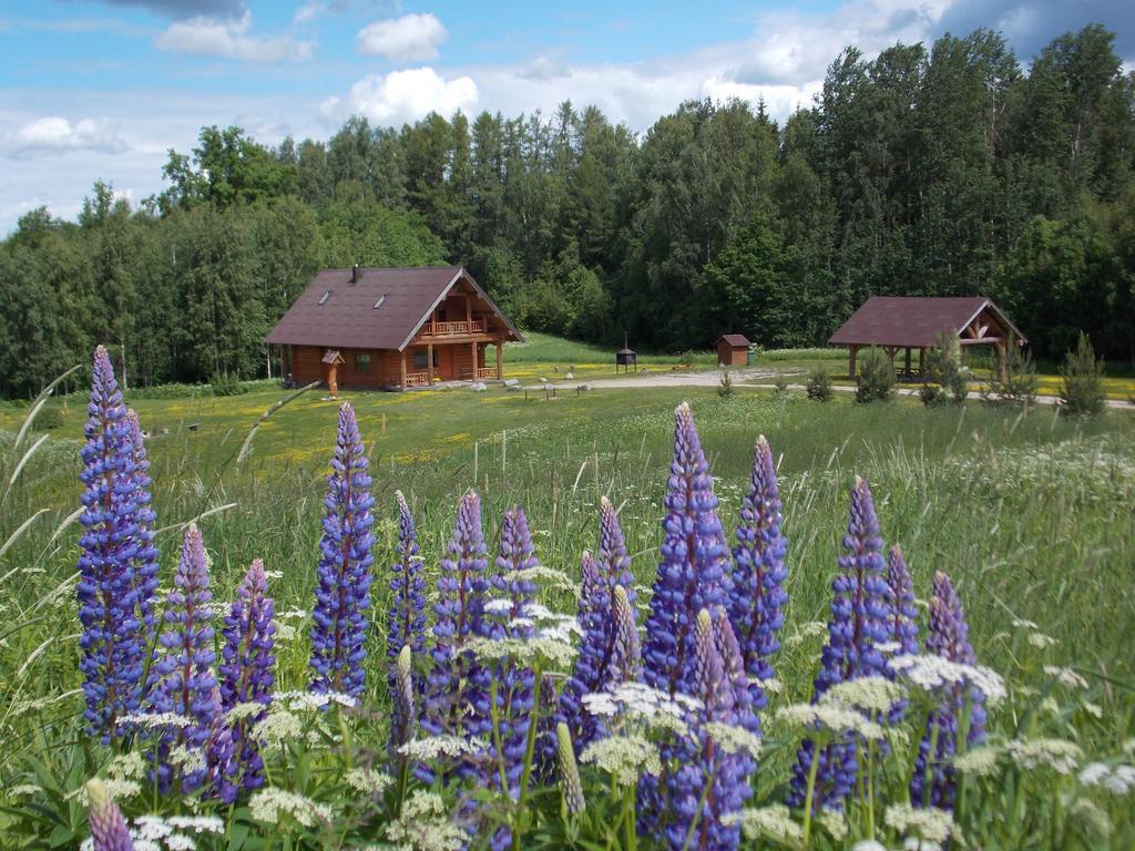 Guest House Kalnini Kārļi Exteriér fotografie